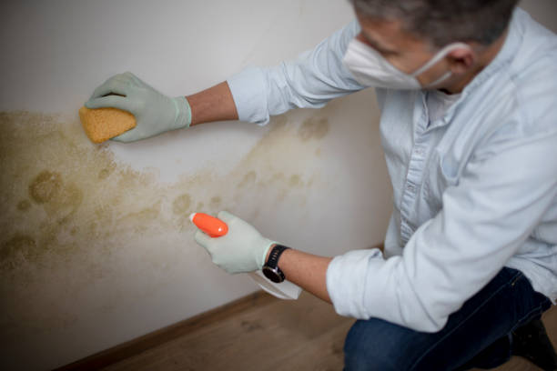 Crawl Space Mold Removal in Dayton, IN